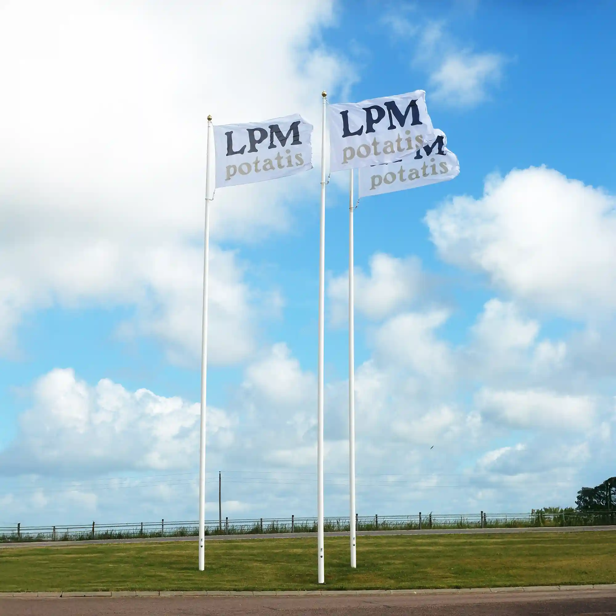 Flagga flaggor beachflagga reklamflagga